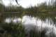 polderboshobokense polder foto